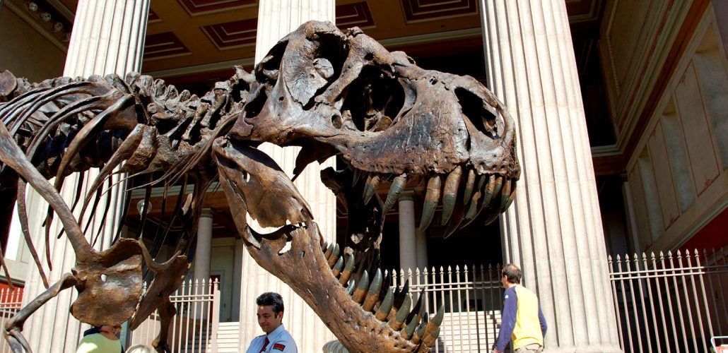 Tyrannosaurus Rex på Universitetsplassen i forbindelse med Geologiens dag. Foto: Pål Stagnes