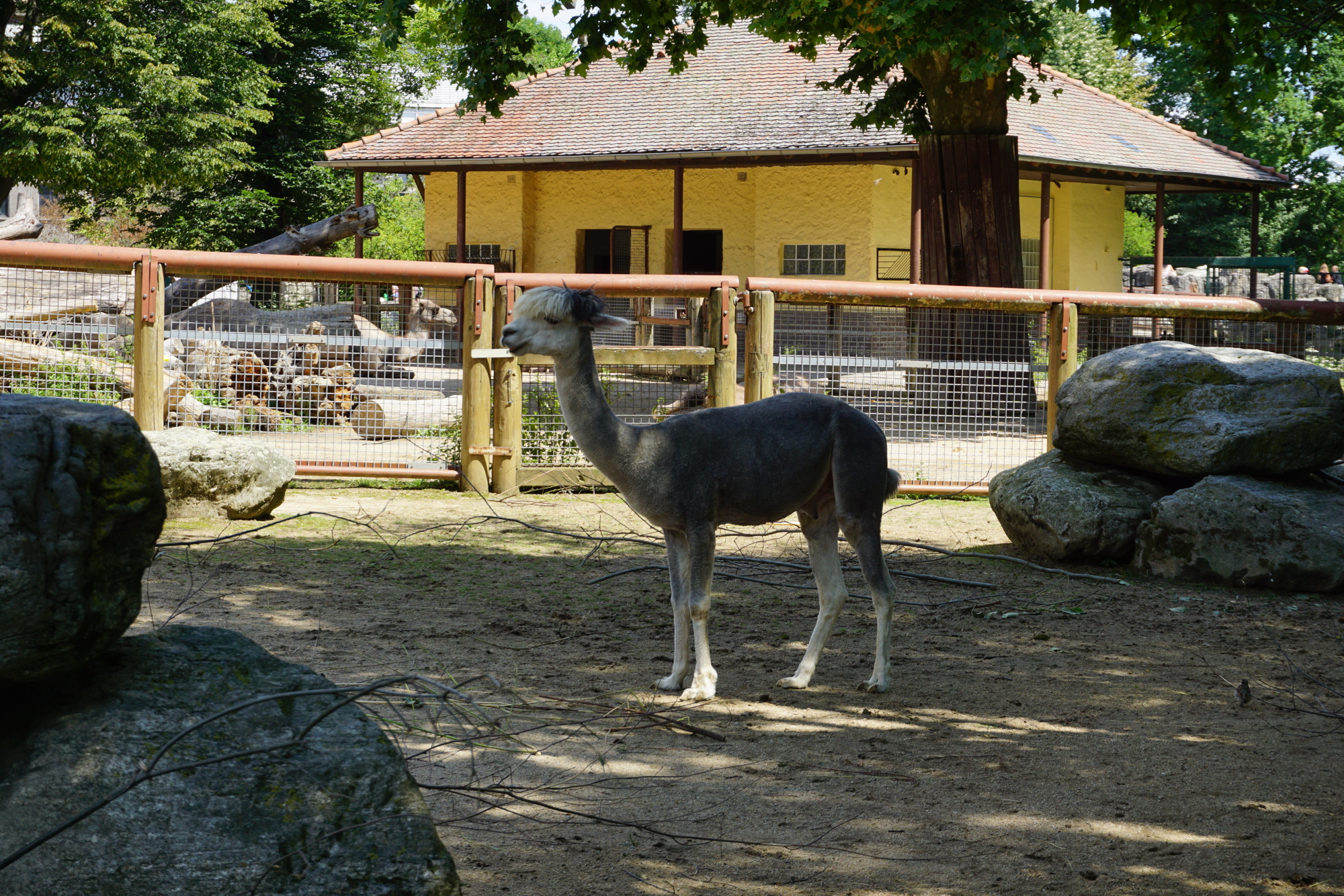 Frankfurt Zoo. Photo: Pål Stagnes